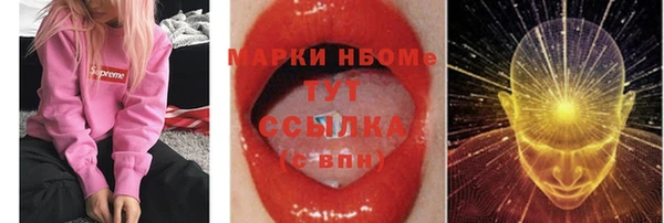 ECSTASY Алзамай