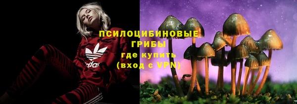 ECSTASY Алзамай