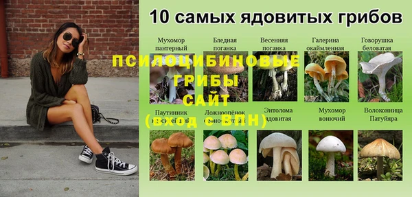 мет Переславль-Залесский