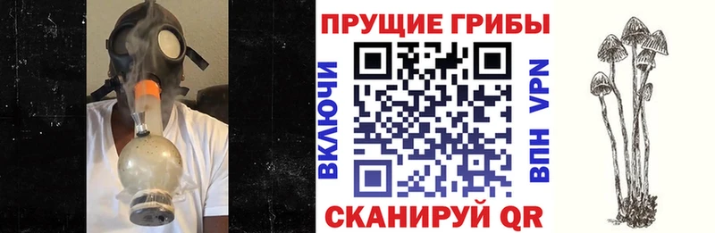 Галлюциногенные грибы мухоморы  Боровск 